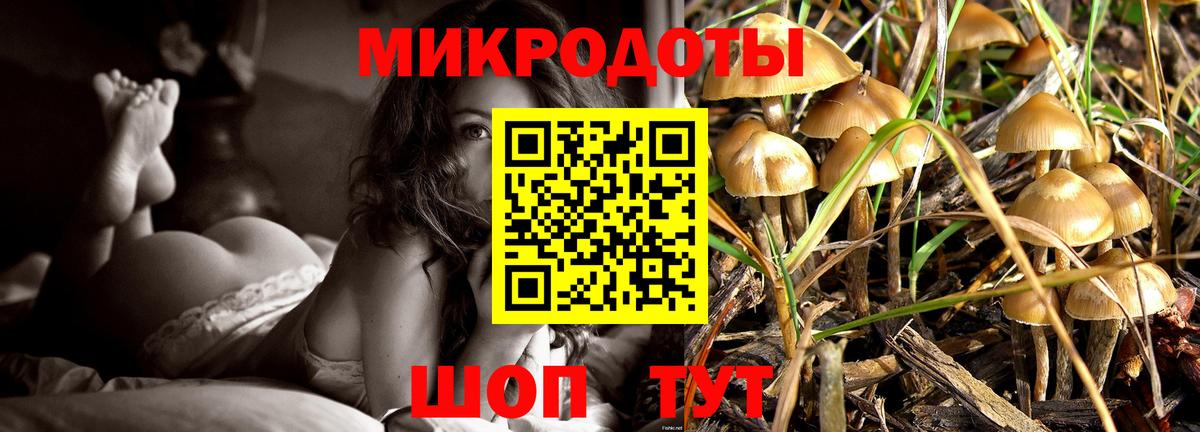 Элиста  Галлюциногенные грибы GOLDEN TEACHER  Вход с VPN 