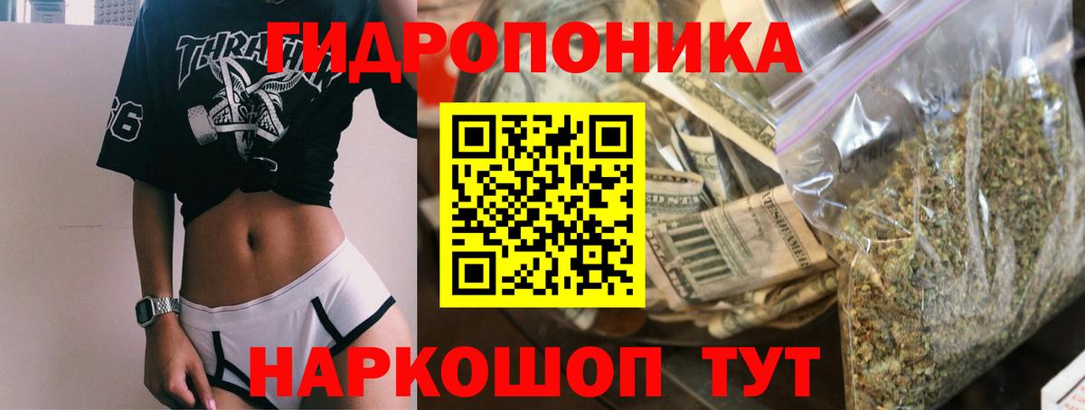 Шишки марихуана ГИДРОПОН  Бошки Шишки марихуана  Марихуана SATIVA & INDICA  Вход с VPN  Элиста 